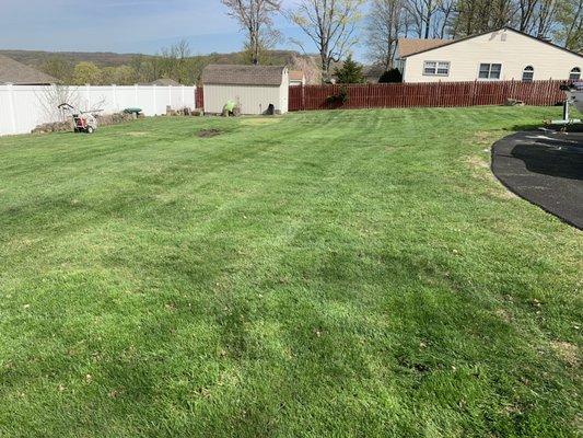 Weekly and Bi-Weekly Lawn maintenance!