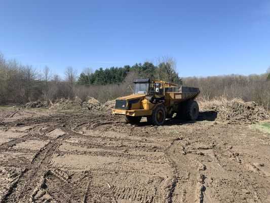 Pond clean out