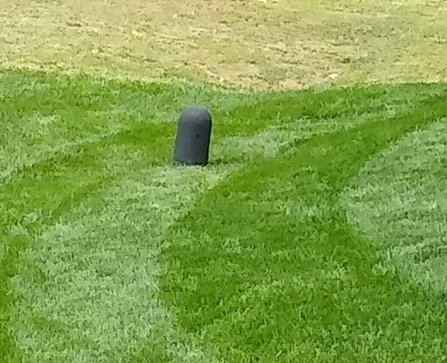 This pic was taken a day before, right after mowing.  Do you see the cable pedestal?  No damage.