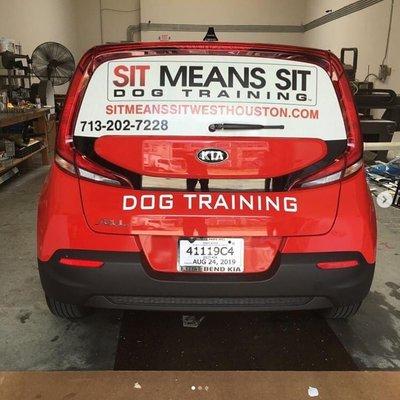 Dog training Sugar Land Texas