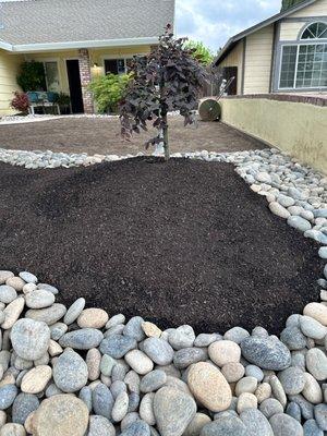 They brought in new dirt to create the mounds we requested. They were very attentive to what we wanted!