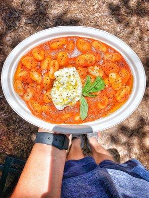 Gnocchi  Gnocchi with tomato sauce & fresh mozzarella