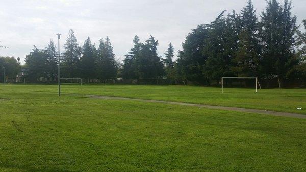 Soccer Field