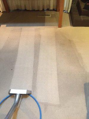 The power of Mr. Steamer Carpet cleaner