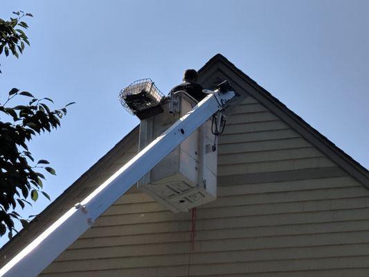 Bee treatment using the bucket truck.