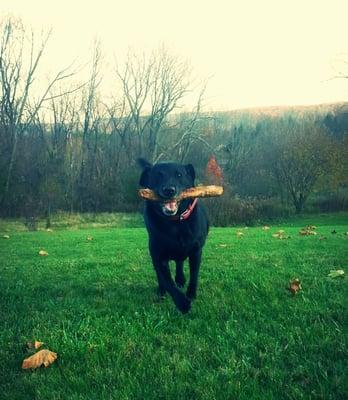 Maggie playing during one of our visits