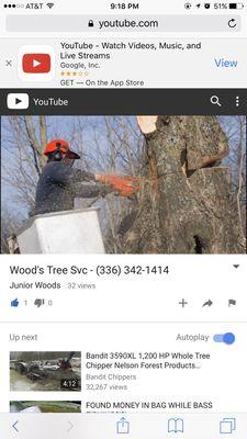 Wood's Tree Service