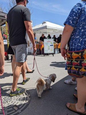 Balanced Energy Dog Training