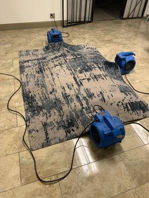 Area rug cleaning