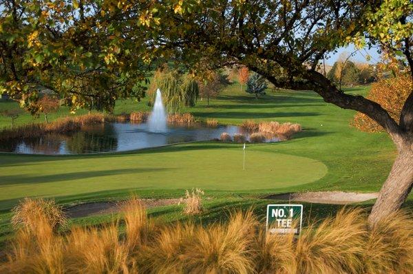 Hole #9.  This hole was selected as one of the Northwest's Dream 18 Holes.