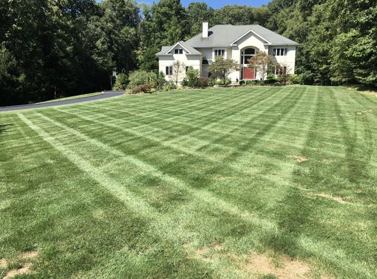 Lawn Mowing