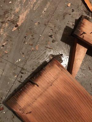 Sometimes wood don't float, they break down- Water Damage Restoration NY