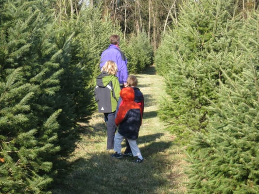 Middleburg Christmas Tree Farm