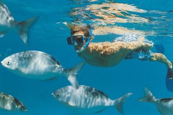 Snorkel Panama City Beach