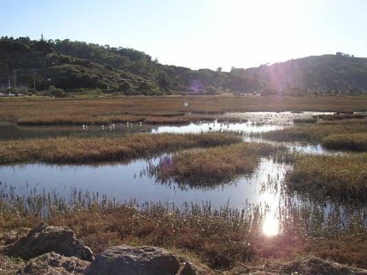 Mill Valley Bike Path