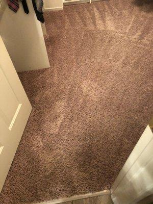 Carpet & Stone Rescue