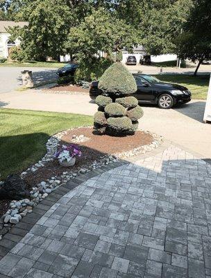 Trim It Up Tree & Landscape Design