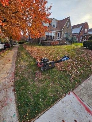 Leaves Removal