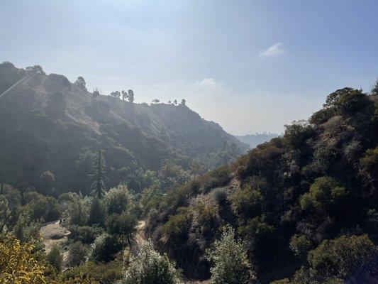 Views in Griffith park