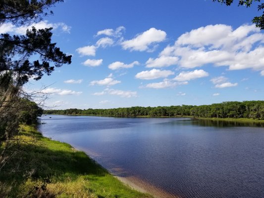 Beautiful Easter walk @ Lake Harney today.