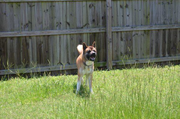 Max at Play Time