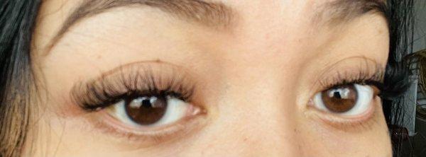 Hybrid lashes.