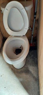 Sewage backed up toilet