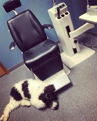 Duke is waiting for you to come in and get your eyes examined and visit with him.