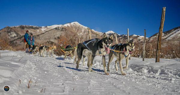 Durango Dog Ranch