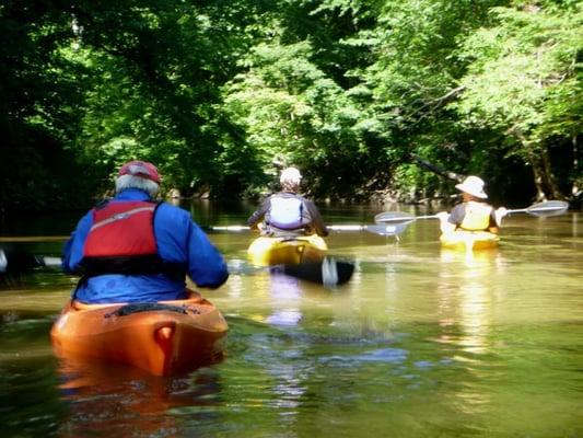 an afternoon on a west michigan river.