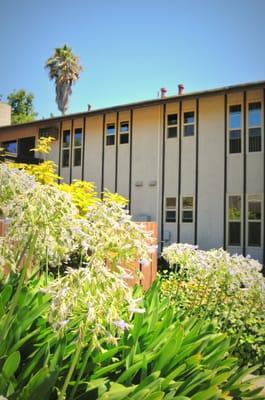 Camelback South Apartments