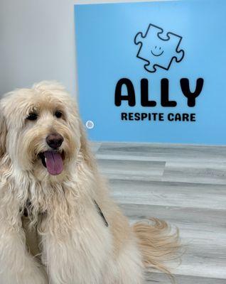 Ally Mascot