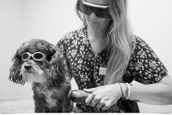 We offer a number of unique services, such as cold laser therapy