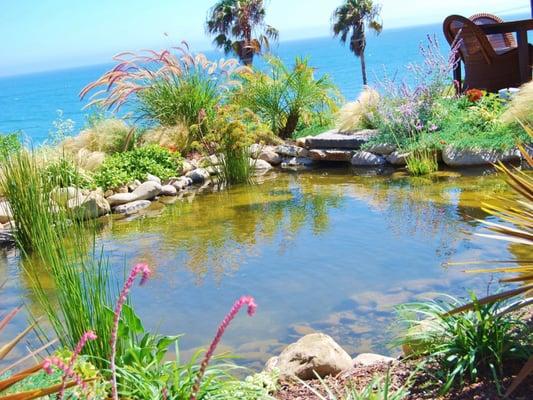 Pond construction services for Los Angeles.