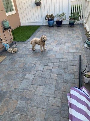 Patio with Basalite Artisan pavers and synthetic grass.