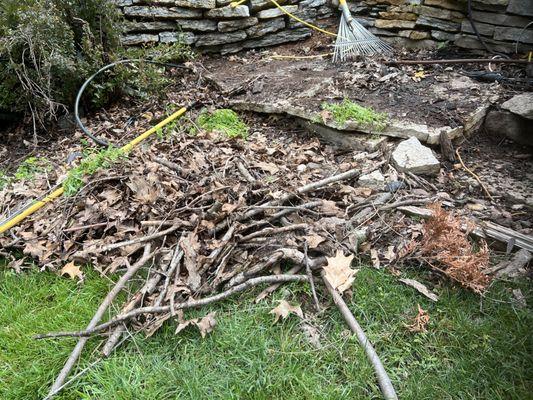 Just some of the branches that ended up in the Utility trailer