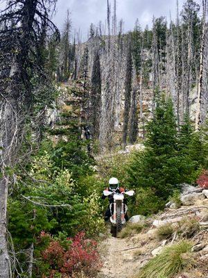 Pristine conditions on some mountain singletrack!