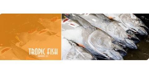 Tropic Fish Hawaii LLC