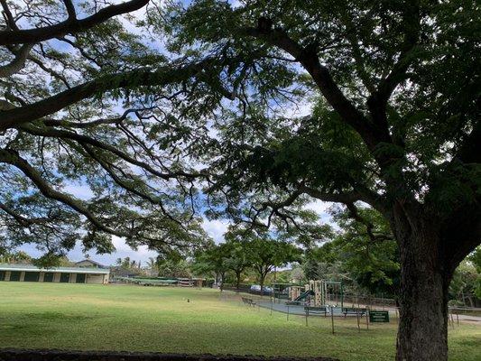 Lanikai Park