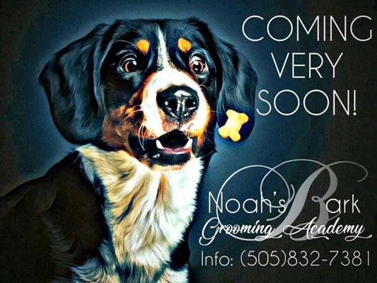 Now enrolling! Noah's Bark Grooming Academy! New classes beginning every month!