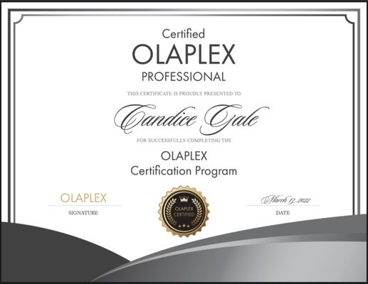 Olaplex Certified Stylist