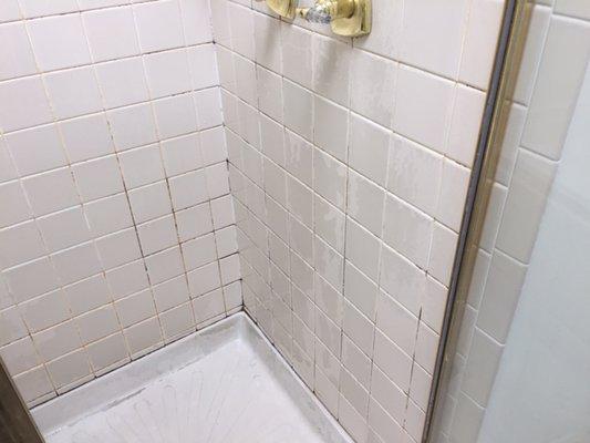 Shower Regrout BEFORE