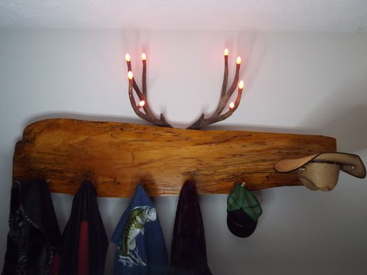 Mudroom,antler hat rack.