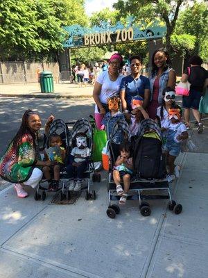 A trip to the Bronx Zoo