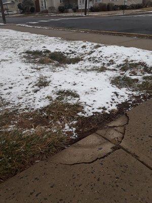 Broken sidewalk, and uneven ground.