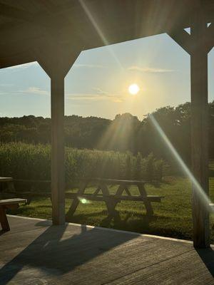 Shop Springs Creamery