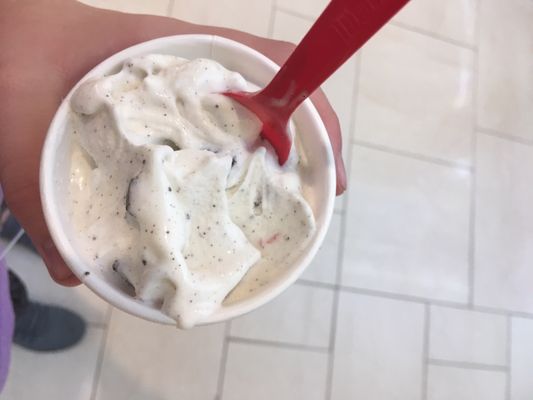 The red substance in the soggy Oreo blizzard.