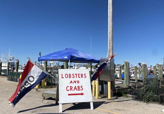 Town Dock Fish