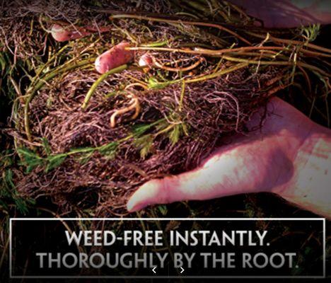 By the root- weed free instantly