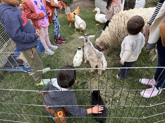 Kids at El Sol Fall Festival 2023.